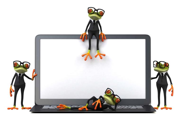 four frogs and a computer